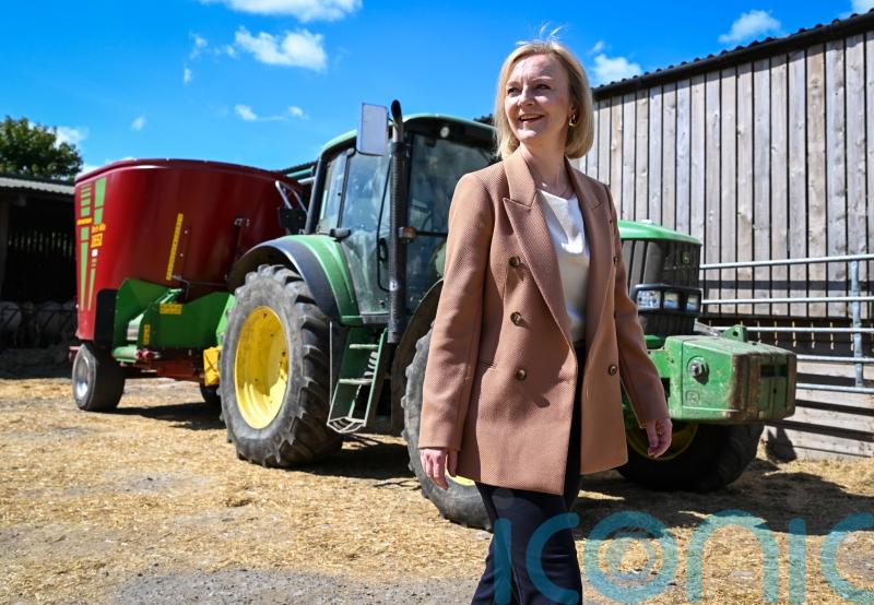Liz Truss opposes placing solar panels on farmland, Downing Street says