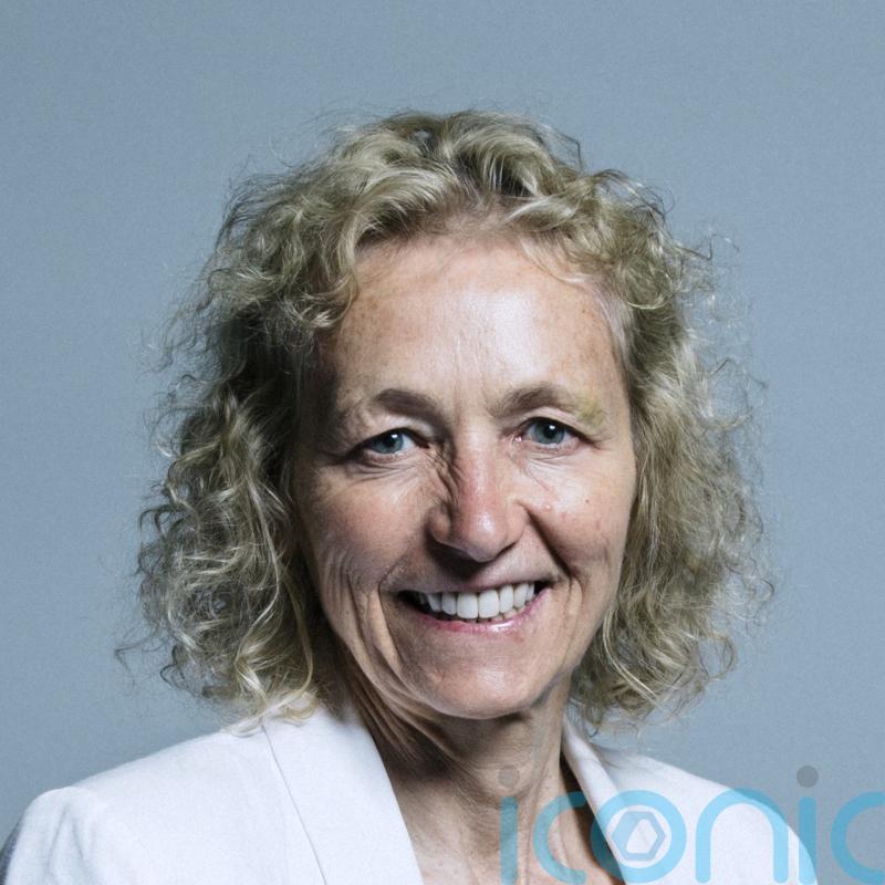 Labour MP has whip suspended