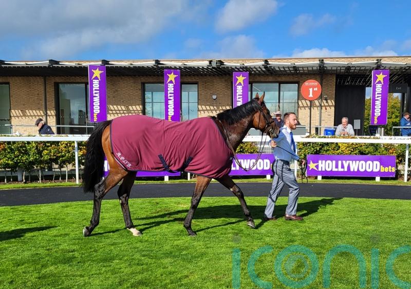 Paddington looks smart prospect in Curragh victory