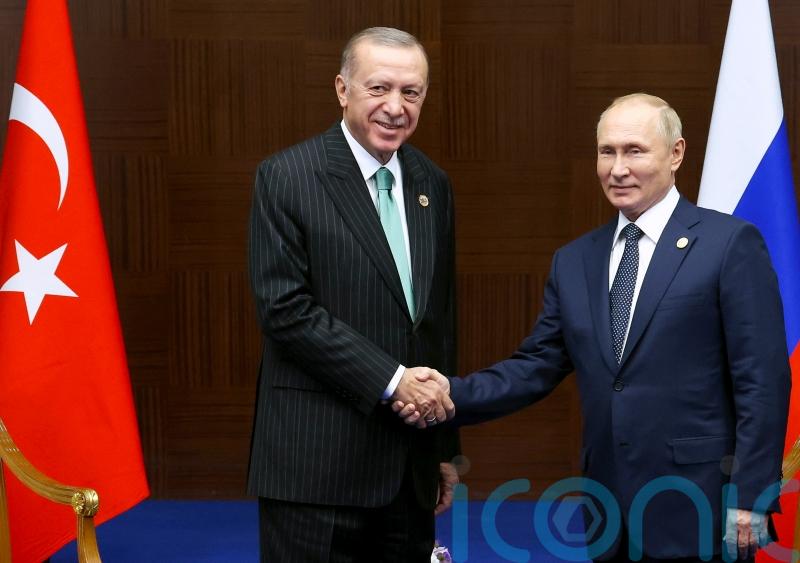 Turkey and Russia to study Putin’s gas hub proposal