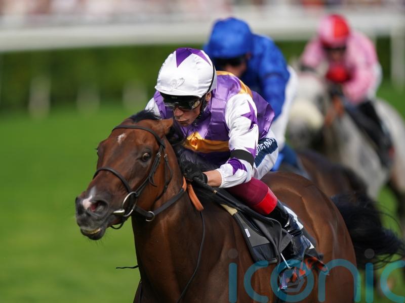 In-form Kinross seeking champion sprint honours at Ascot