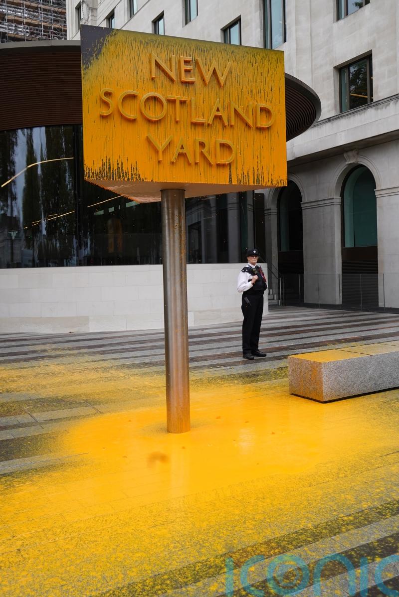 Three climate activists appear in court after soup thrown over Van Gogh painting