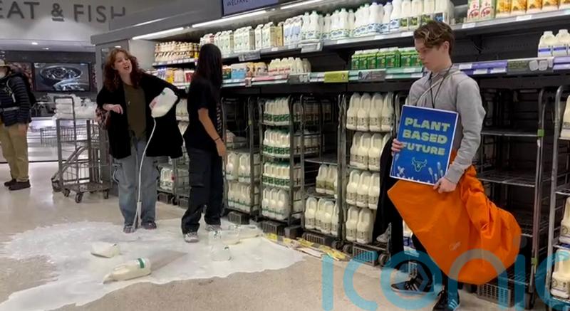 Animal Rebellion protesters pour milk in shops across UK &ndash; including Harrods