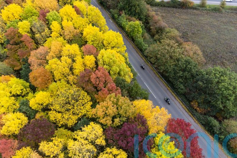 ‘Trampling’ on nature will not lead to healthy economy, Government adviser warns