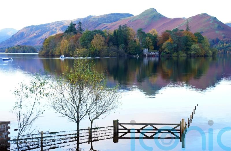 Government ‘limping backwards on protecting 30% of England for nature’