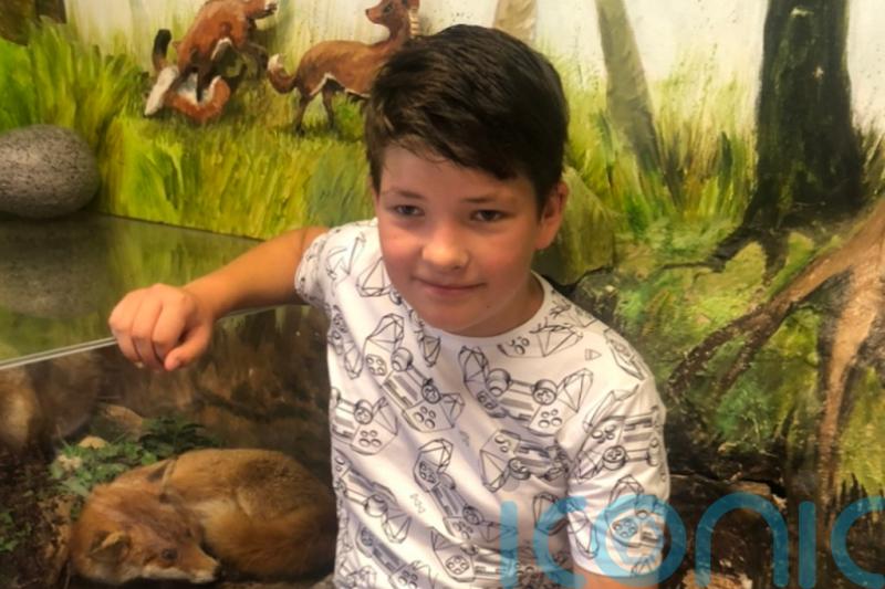 Family say they are ‘broken’ by death of boy, 12, in wall collapse
