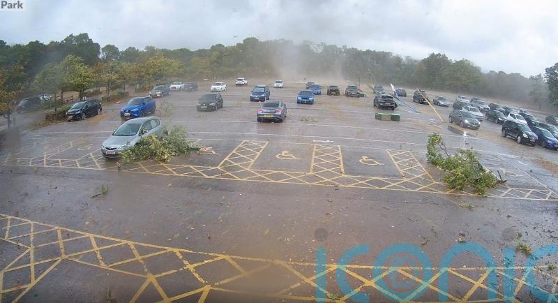 Tornado sweeps through zoo car park