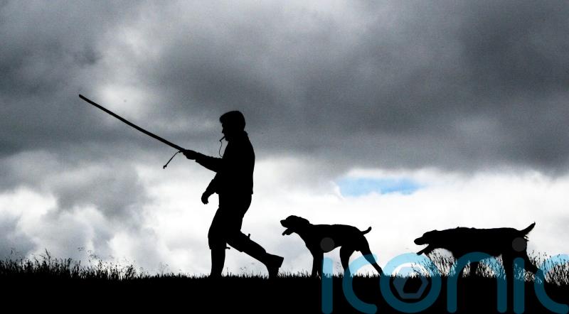 MSPs urged to close loopholes in new fox hunting legislation