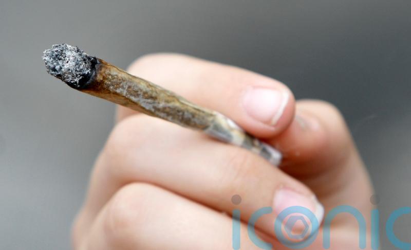 Germany unveils cannabis liberalisation plan