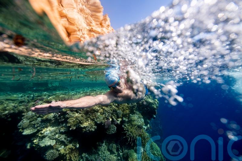 Endurance swimmer Lewis Pugh completes Red Sea swim to highlight coral plight