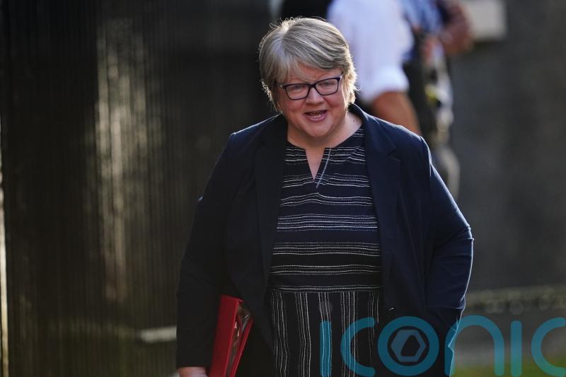 Ministers admit delaying legally-binding environment targets