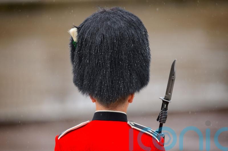 Peta threatens MoD with legal action in row over King’s Guards’ bearskin caps