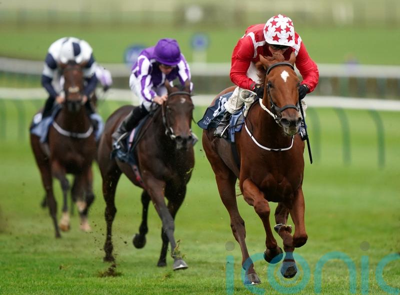 Saffron Beach ruled out of Breeders’ Cup bid