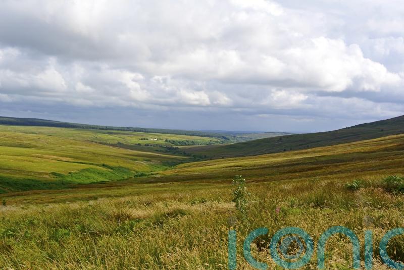 No evidence to support ‘big is bad’ position on land ownership, ministers told