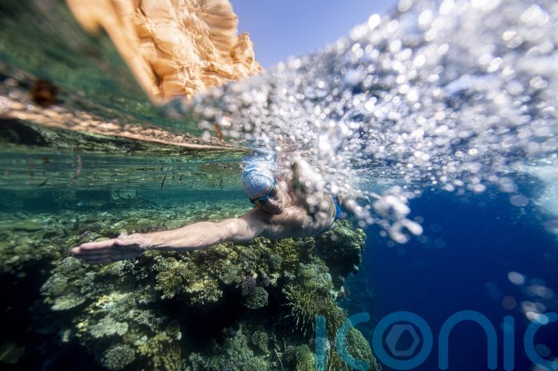 Endurance swimmer Lewis Pugh urges climate action at Cop27 to save corals
