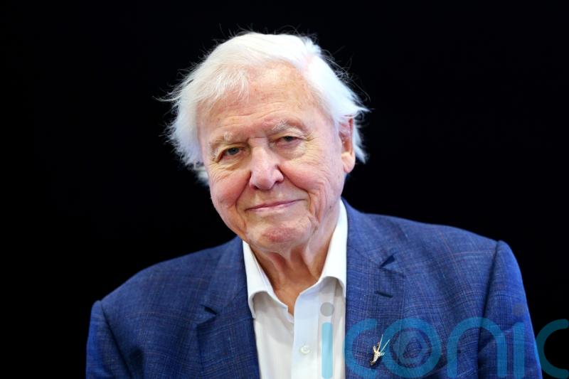 David Attenborough and EastEnders among shows nominated for Rose d’Or Awards