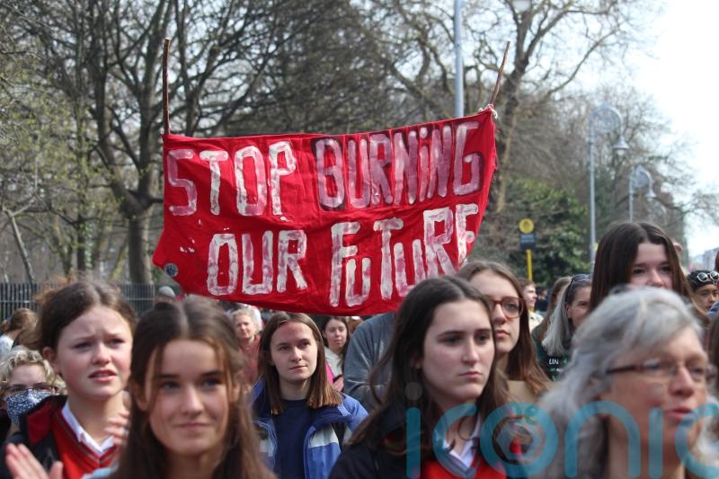 Cop27: Key questions about the climate conference
