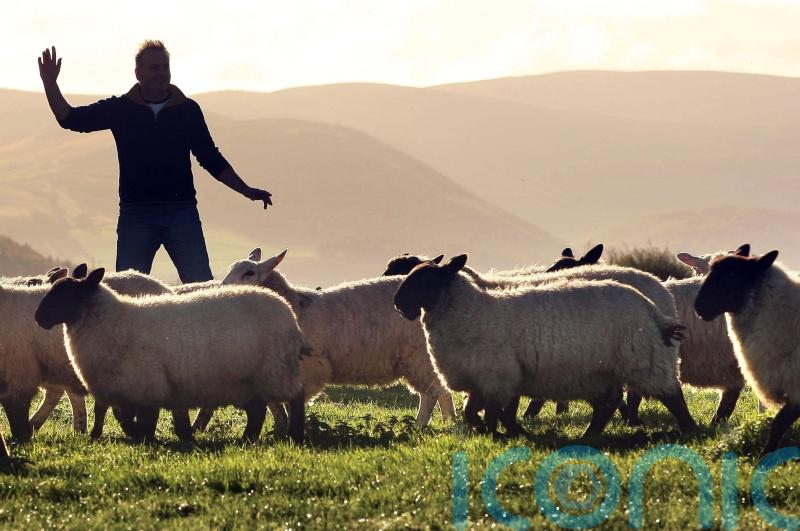 Farmers need more clarity over funding future, rural affairs minister told