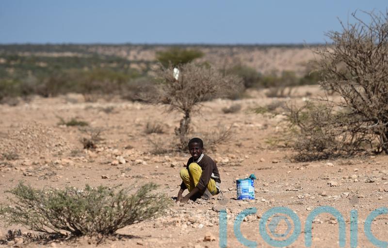 African countries face ‘economic devastation’ from climate hit to GDP