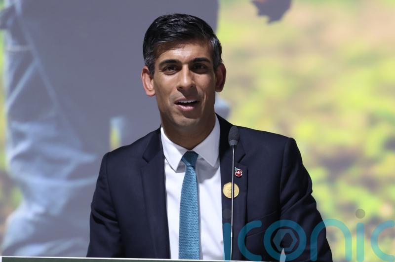 Sunak’s judgment questioned as Williamson quits over bullying claims