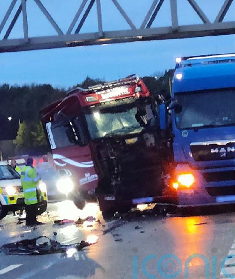 Police officer injured during Just Stop Oil protests on M25