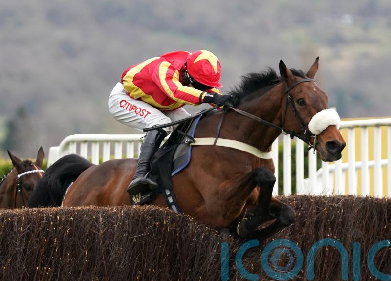 No place like home – Coole Cody heading back to Cheltenham