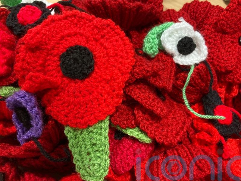 Hundreds of knitted poppies to grace buildings of hospital trust