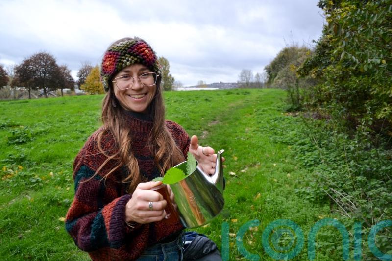 Teacher swaps schoolbooks for plant guides to become a professional city forager, finding edible items in her local park
