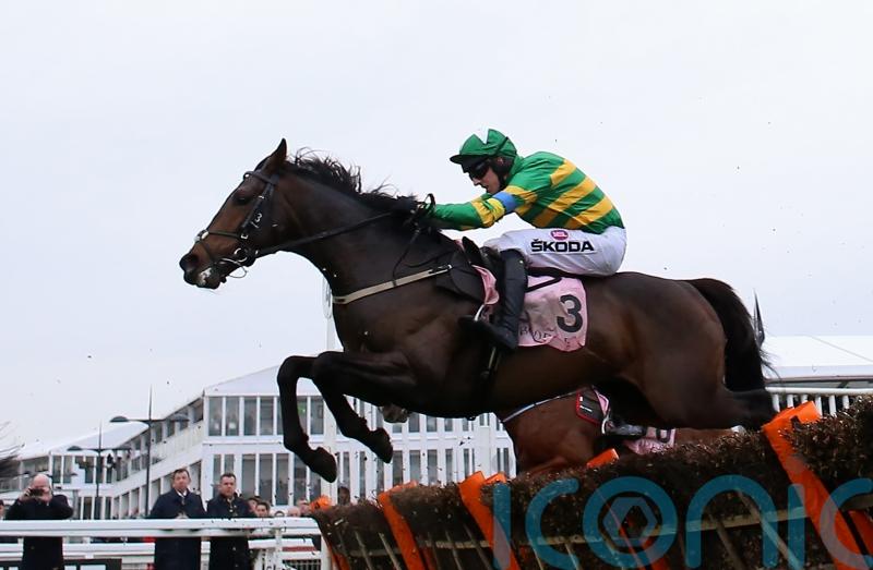 Brazil given Limerick option following Naas win
