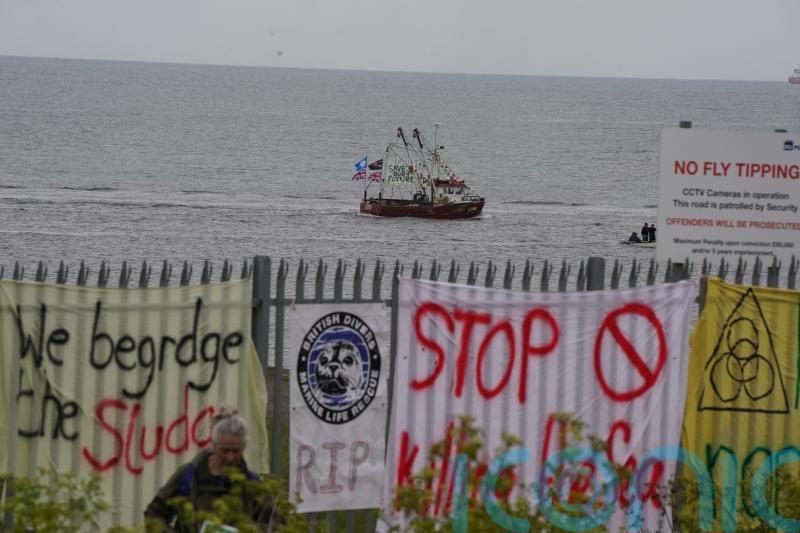 Independent panel to be set up to look into mass deaths of crabs and lobsters