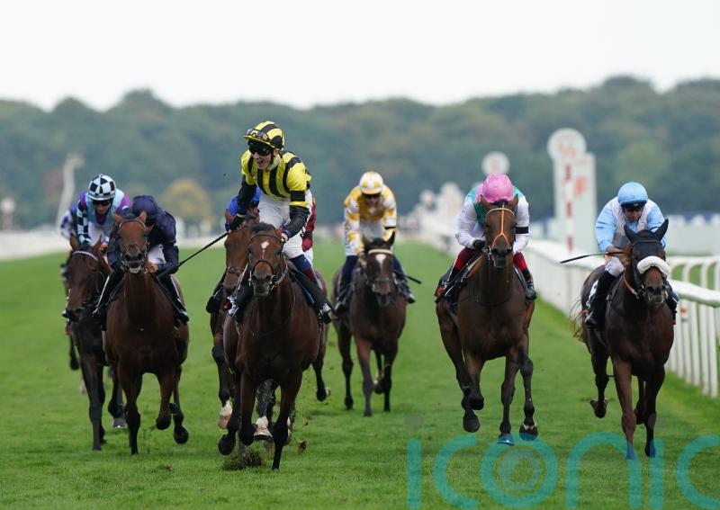 Haskoy connections out of luck in appeal against Leger demotion