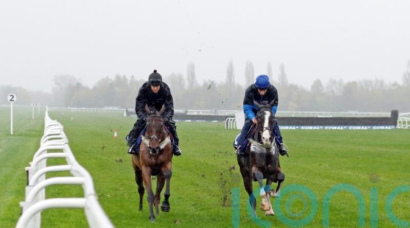 Tizzard believes Coral Gold Cup-bound Fiddlerontheroof ‘has a big one in him’