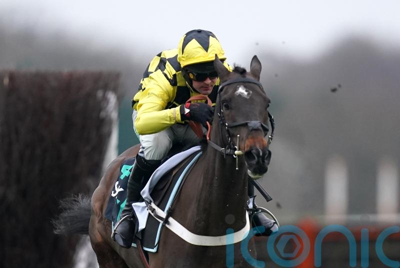 Tingle Creek pencilled in but not definite for Shishkin comeback