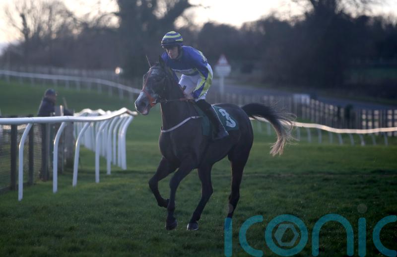Charity horse Burrow Seven retired from racing following injury