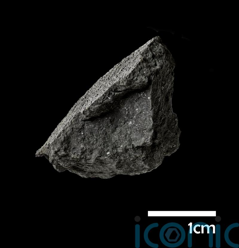 Winchcombe meteorite ‘holds clues as to how oceans and life originated on Earth’
