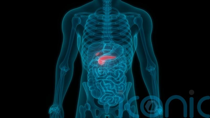 World Pancreatic Cancer Day: 14 symptoms you’re most likely to ignore