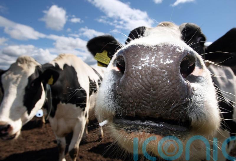 University union to go plant-based by 2025
