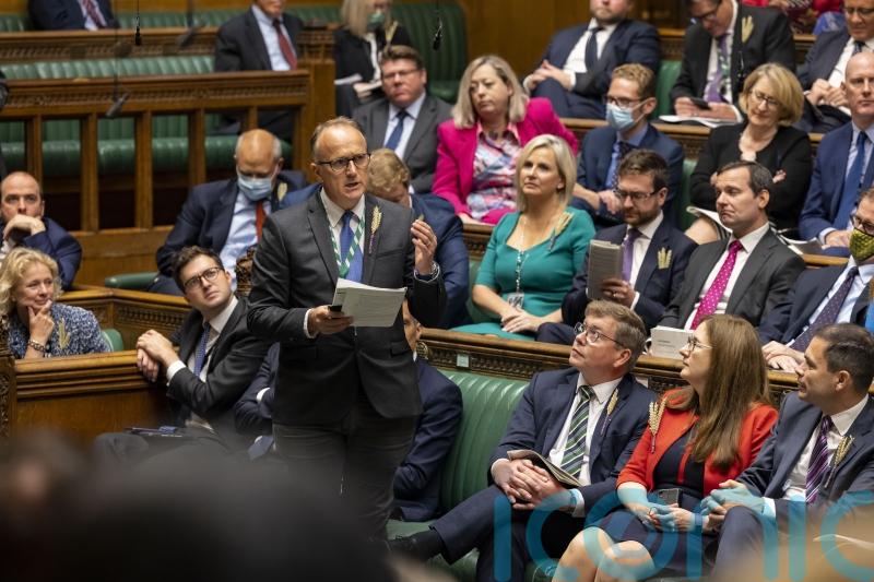 Tory MPs call for renters to be allowed to keep pets