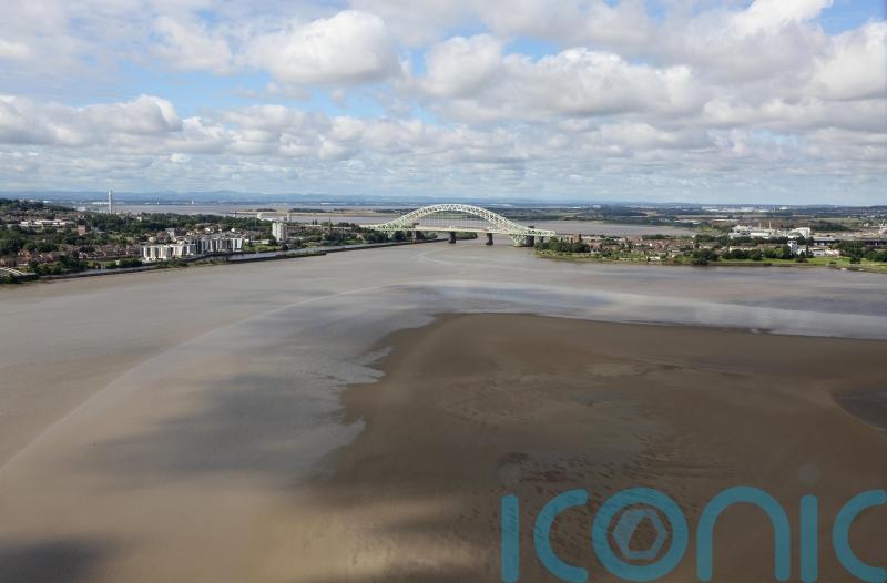 Important estuary habitats being ‘squeezed out’ by climate change, study warns