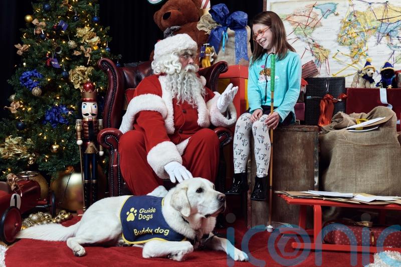 Guide Dog charity to host Christmas grotto for visually impaired children