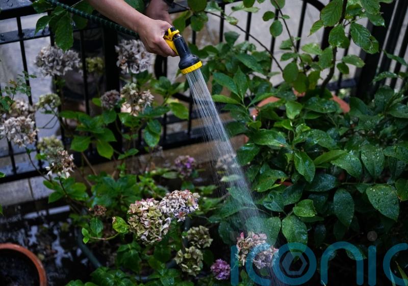 Thames Water lifts hosepipe ban but urges continued caution