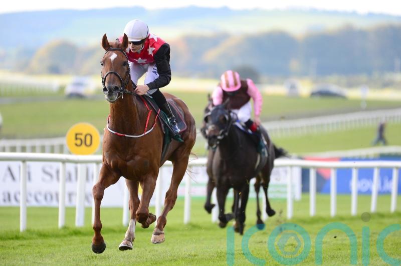 Carlow trainer 'Shark' Hanlon has National ambition with new recruit Cape Gentleman