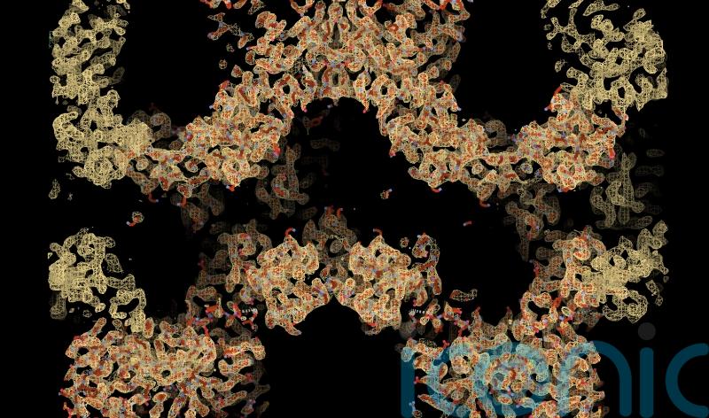 New discovery could lead to new drugs for bowel cancer, study suggests