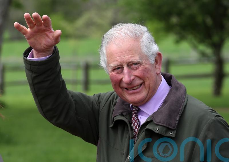 King admits he enjoys the ‘most difficult challenges’ in royal grand design show