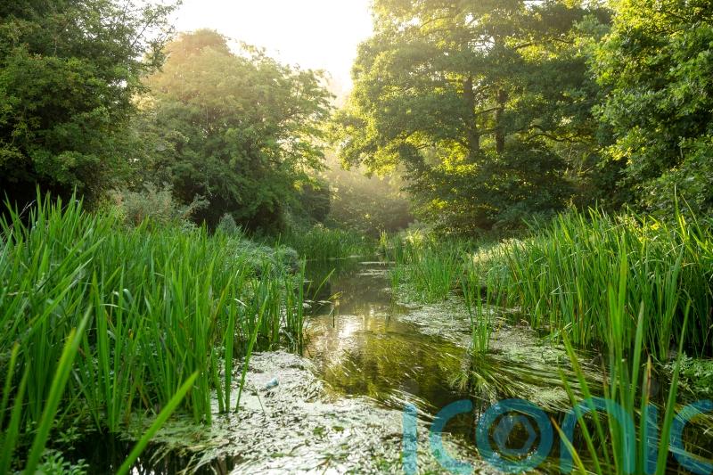 PM urged to attend global meeting to drive deal on treaty to restore nature