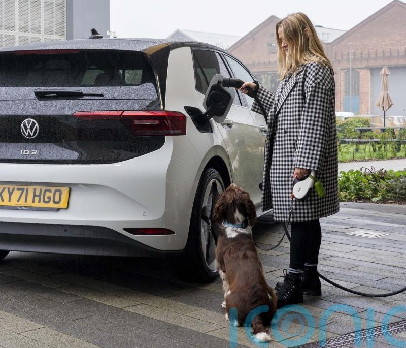 Dogs are more relaxed in EVs than diesel cars &ndash; study