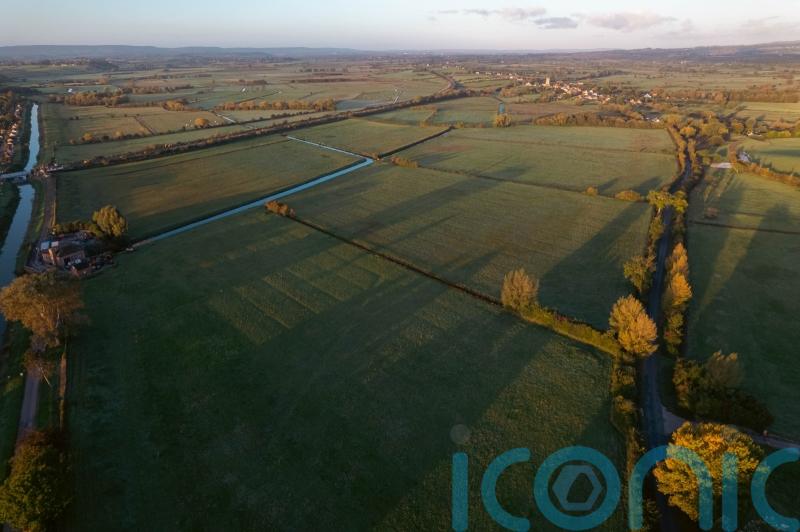 Charity to rewild ‘birthplace of England’ after buying Alfred the Great site