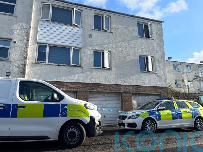 Three bailed after being arrested when two babies were found dead in house