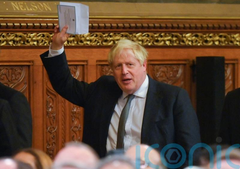 Boris Johnson will stand again at the next general election