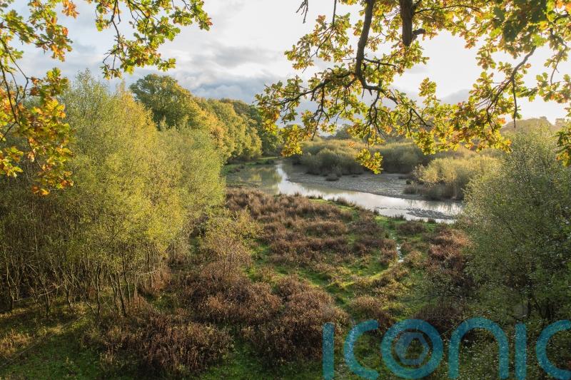 Charity launches £100,000 award for one large-scale rewilding project a year